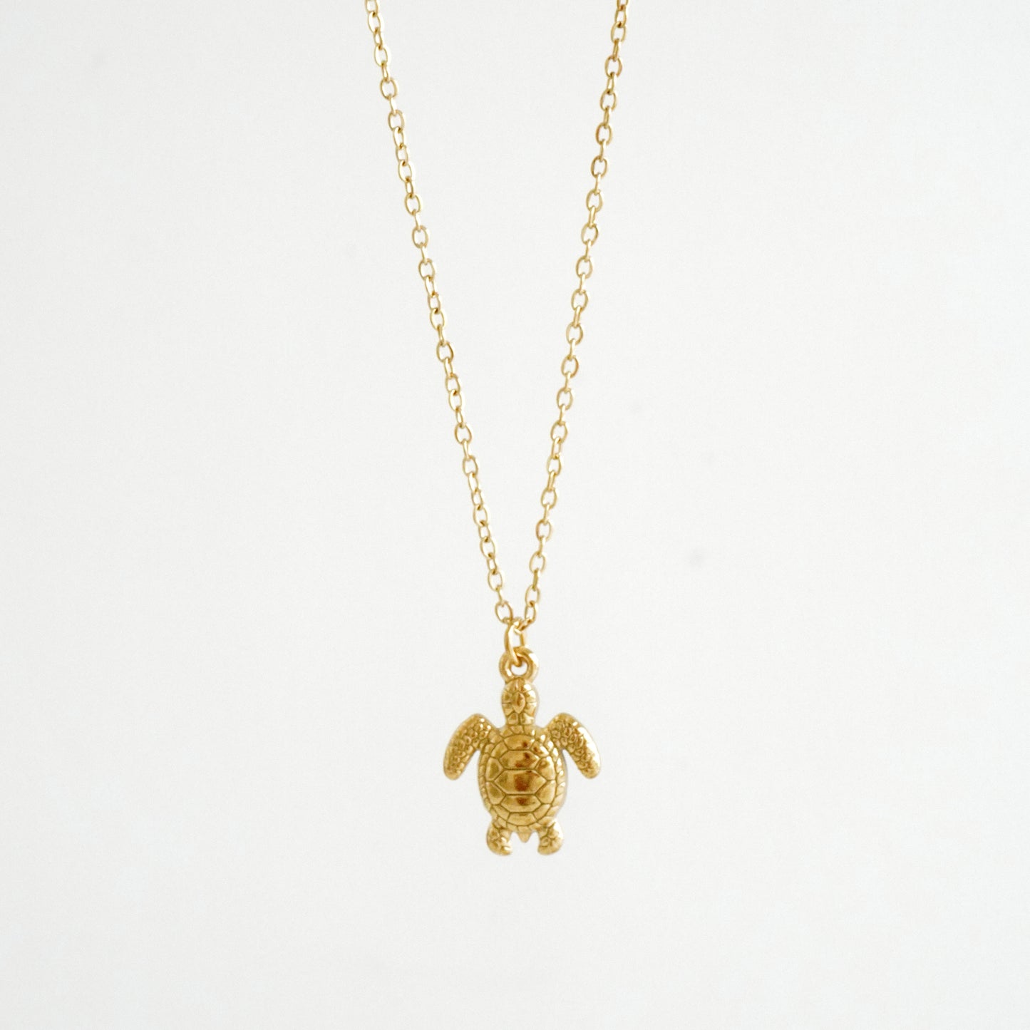 Cadena con dije tortuga