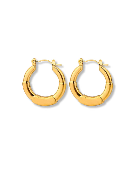 Arracadas básicas pequeñas de broche