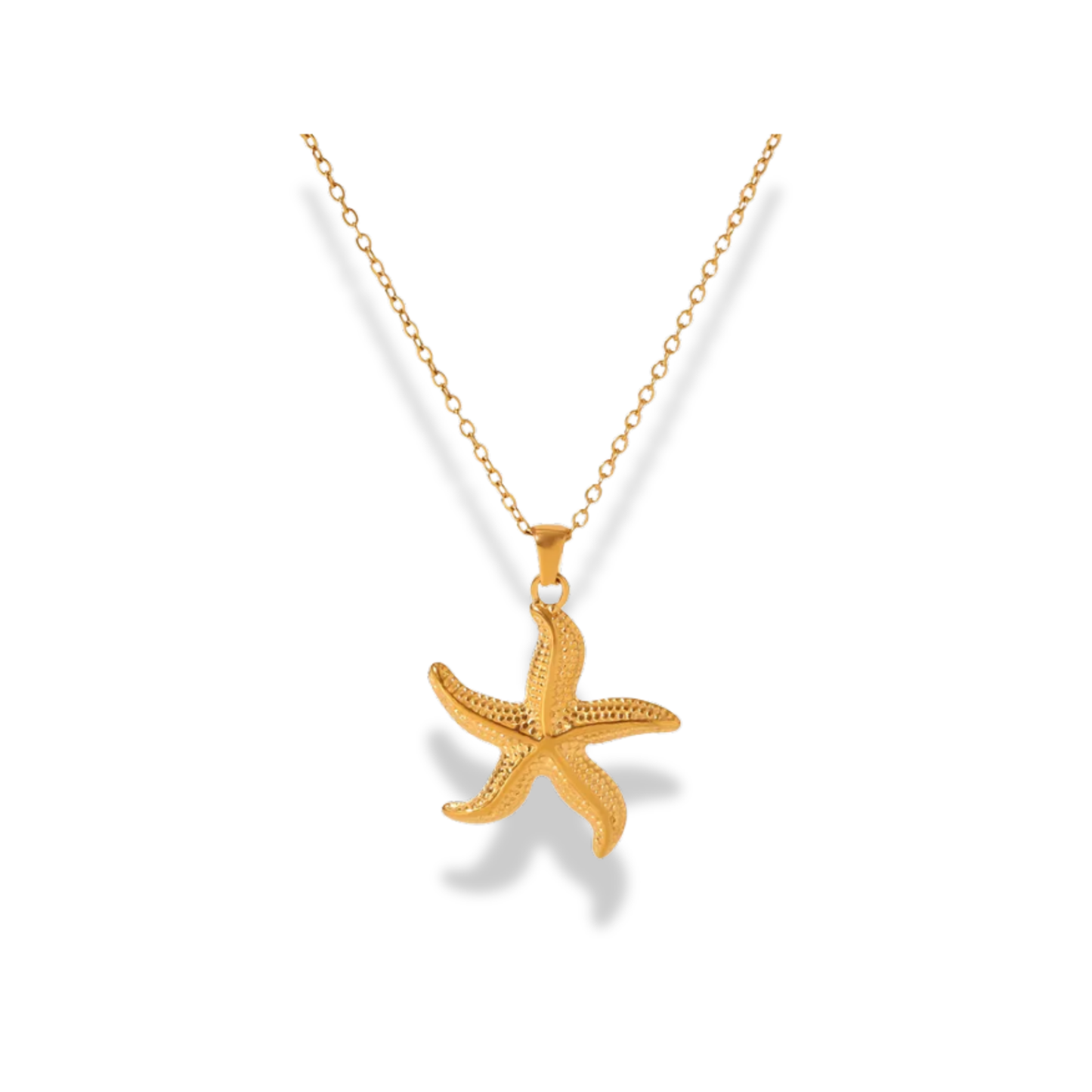 Cadena con dije de estrella de mar