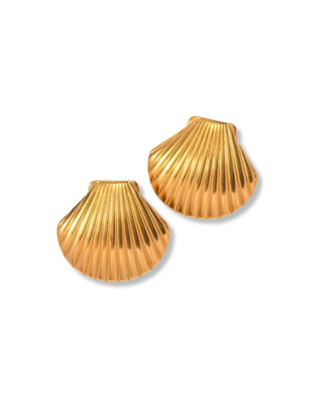 Aretes de concha