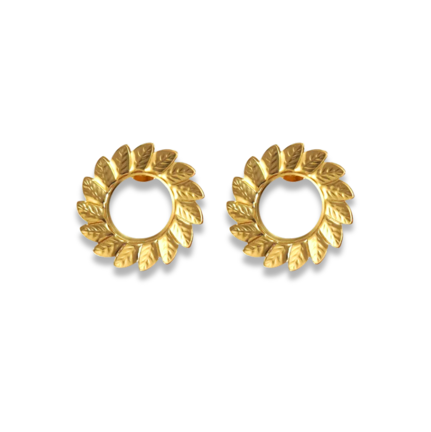 Aretes de círculo con hojas