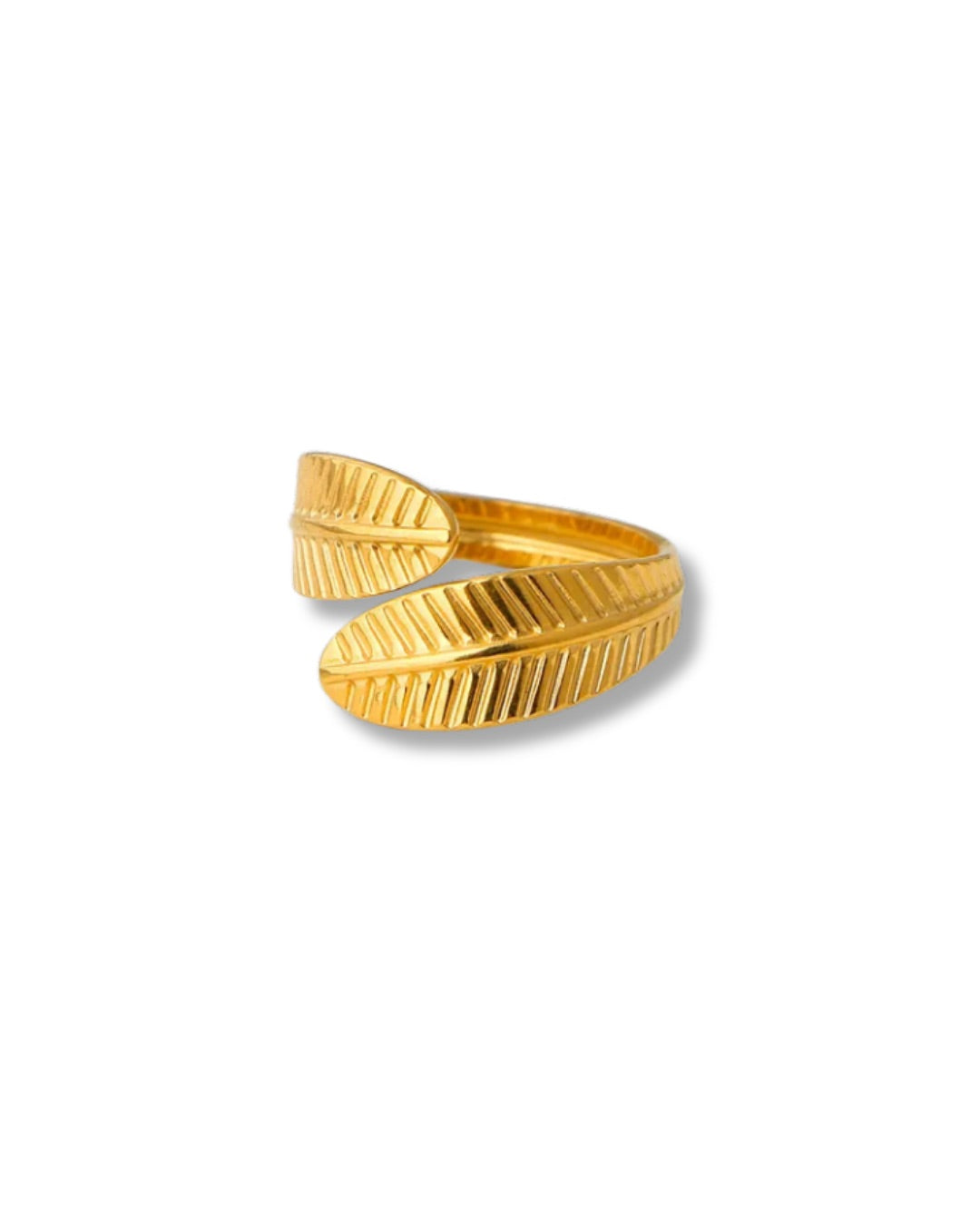 Anillo hojas