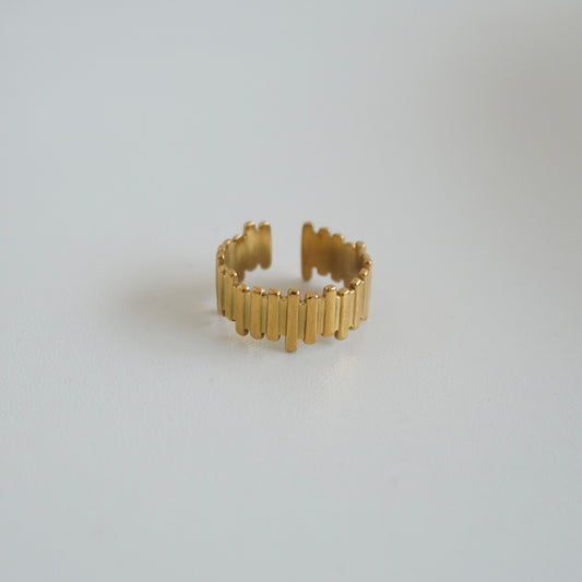 Anillo de líneas de acero inoxidable