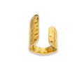 Anillo abierto asimétrico