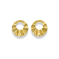 Aretes de círculo hueco y textura