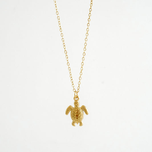 Cadena con dije tortuga