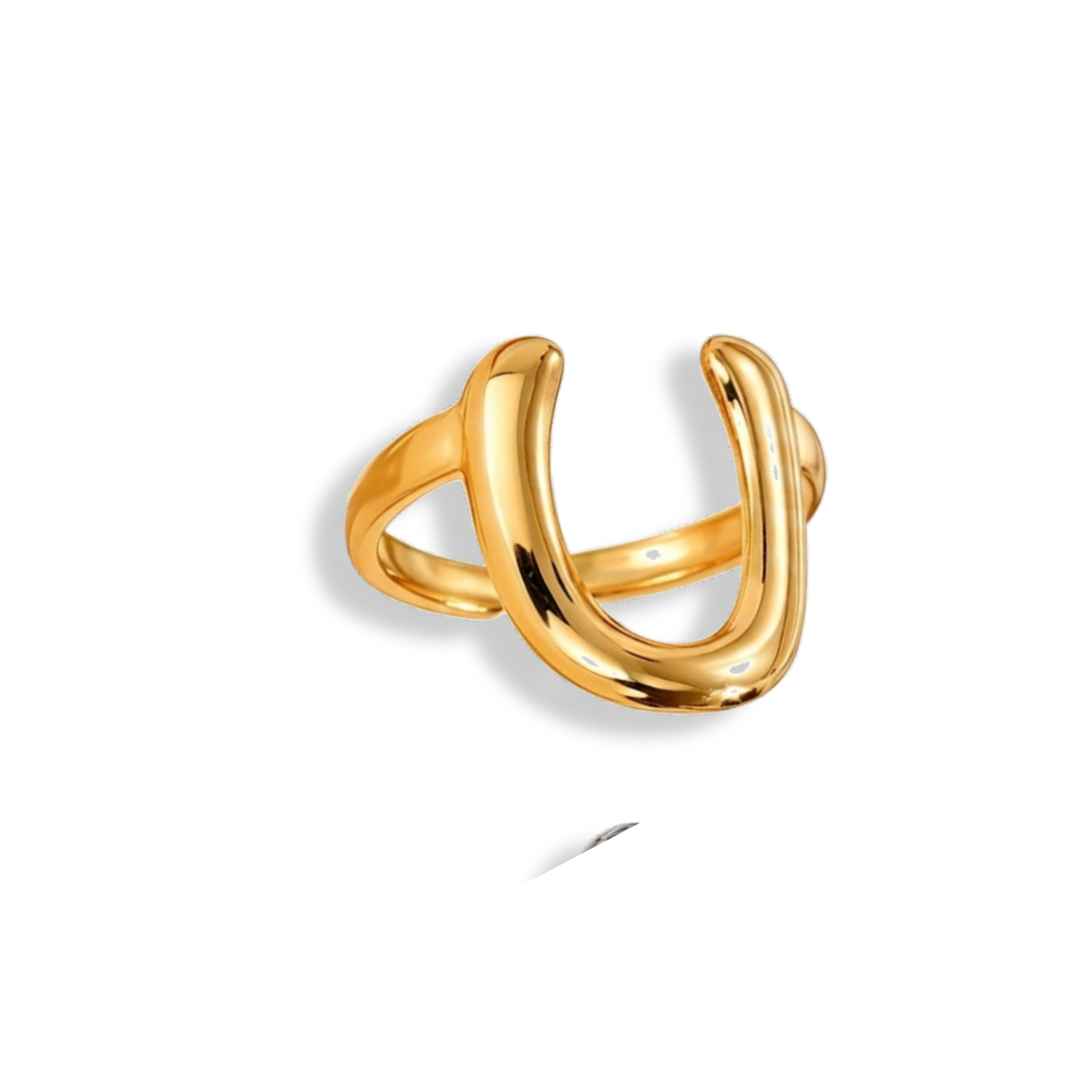Anillo tipo hebilla
