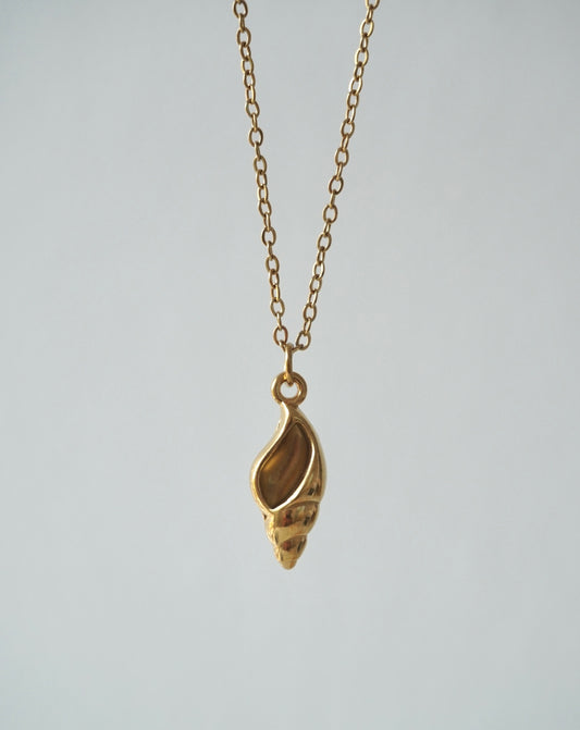 Cadena dije concha caracol