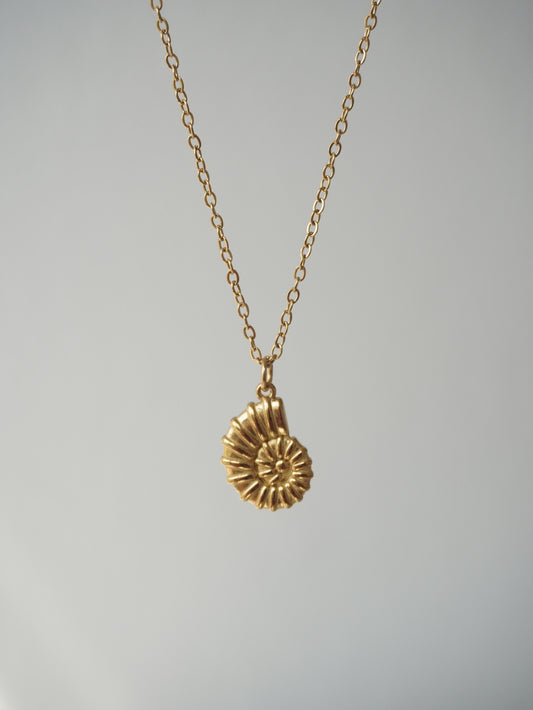 Cadena dije de caracola