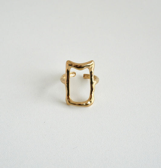 Anillo rectángulo textura
