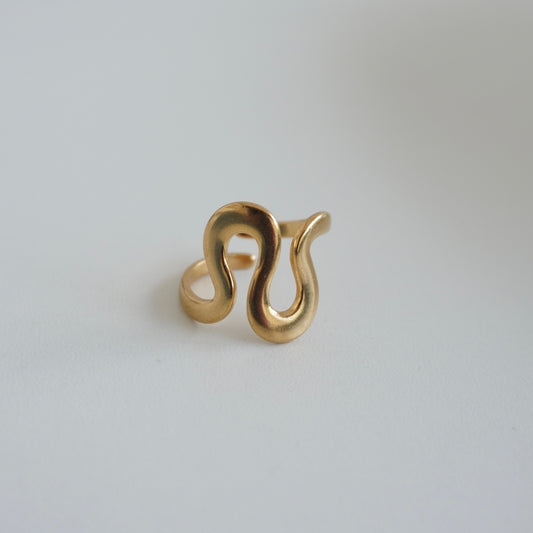 Anillo línea curva