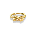 Anillo liso y nudo