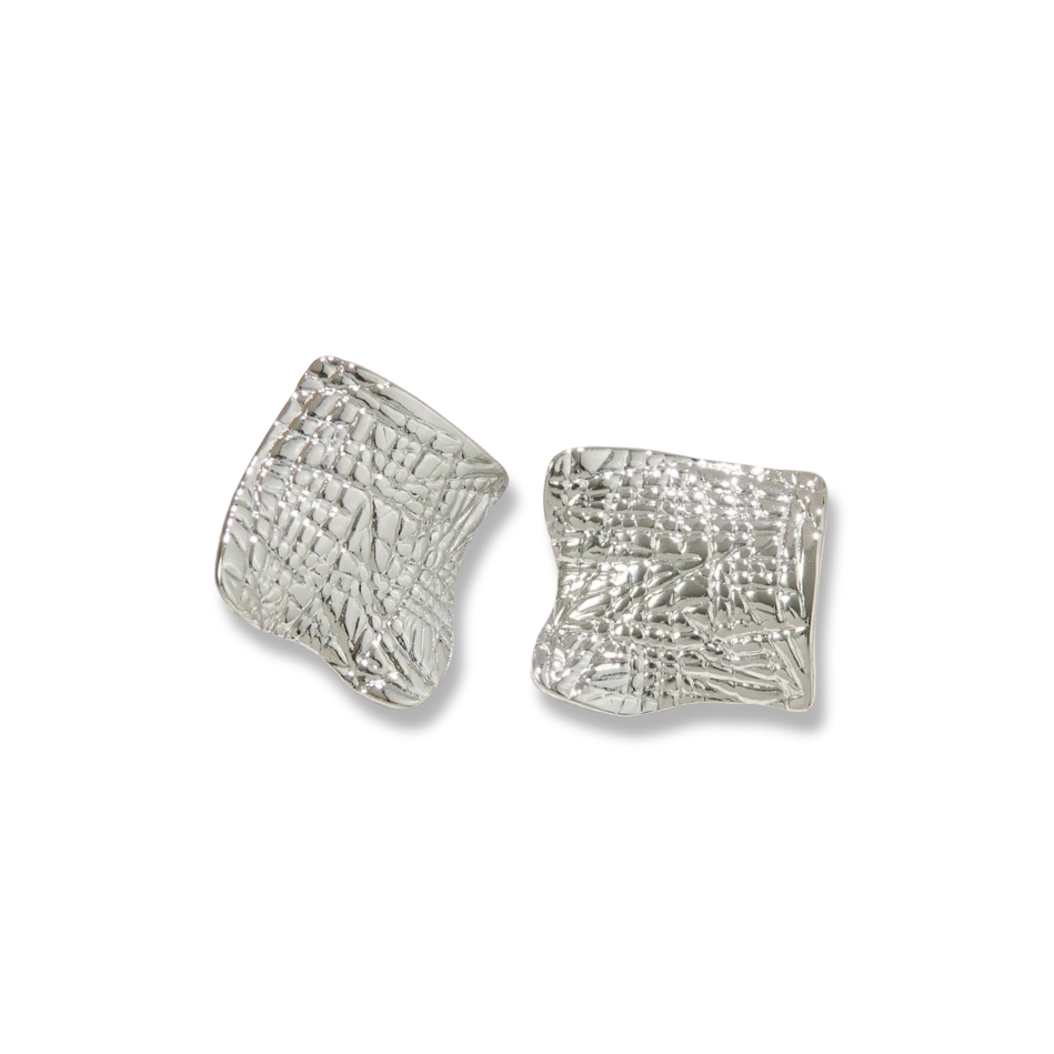 Aretes costal plateados