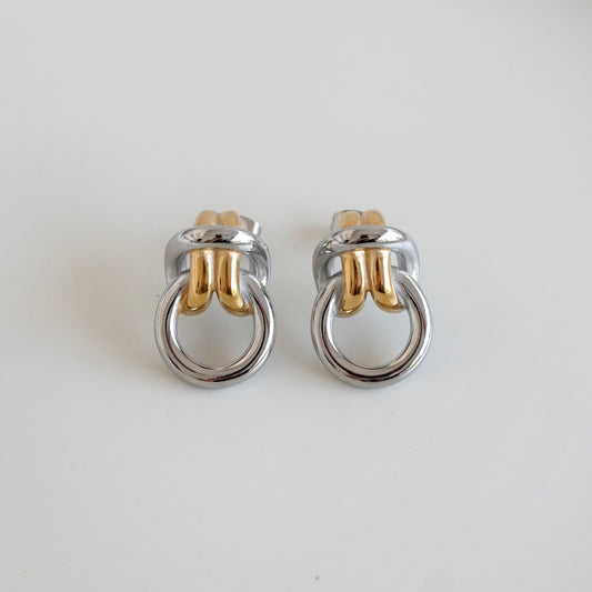 Aretes bicolor nudo