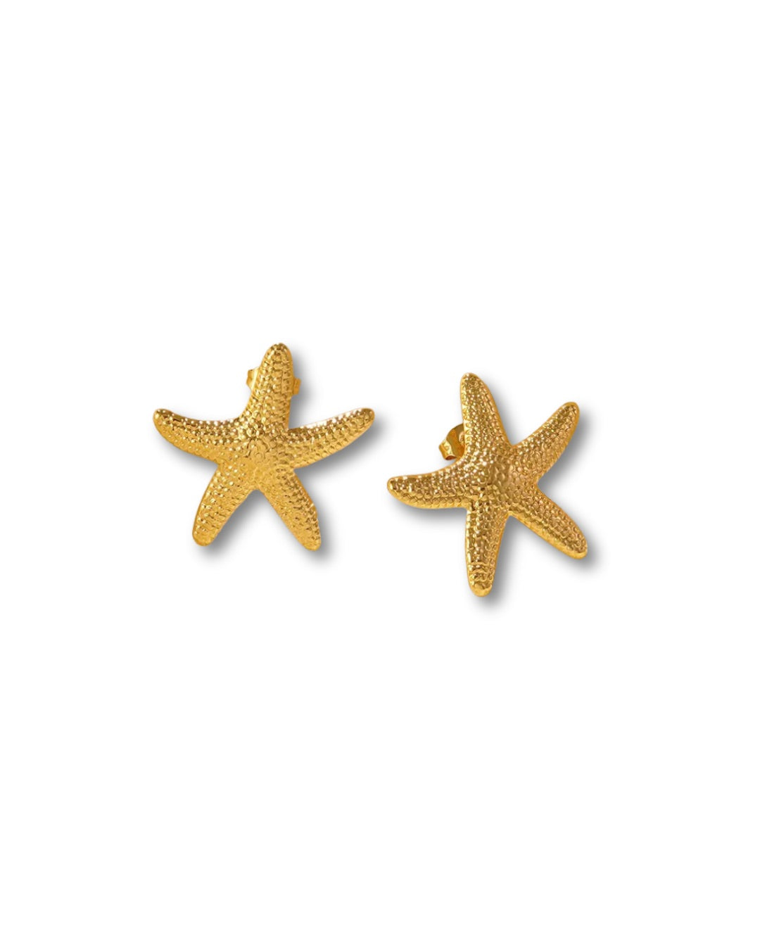 Aretes estrella de mar texturizados