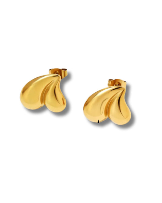 Aretes alas gotas
