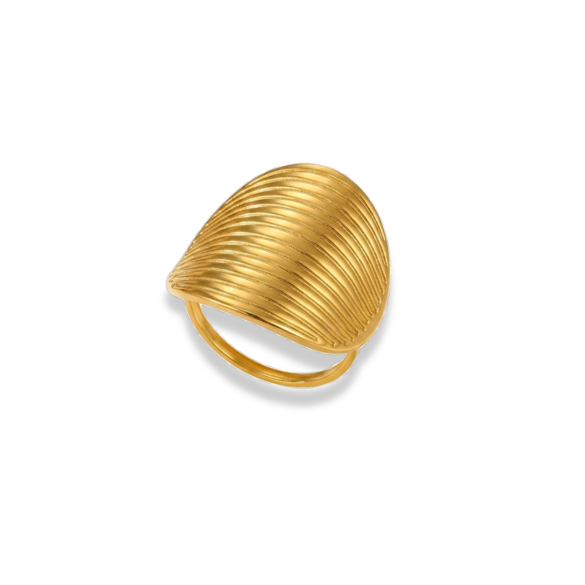 Anillo círculo con líneas ajustables